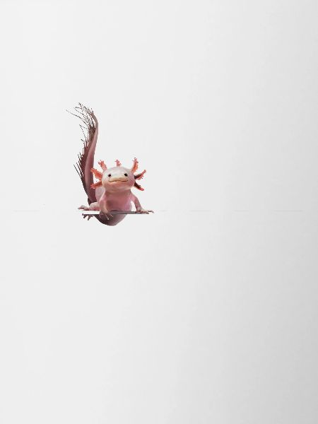 Axolotl