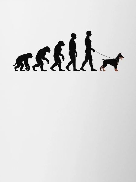 Doberman
