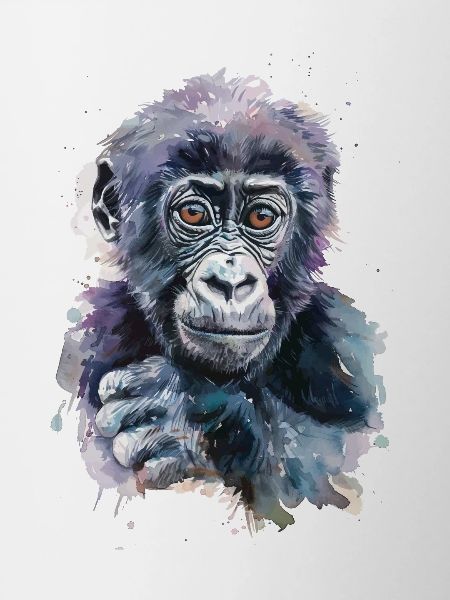 Gorilla