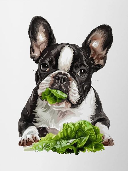 Chien