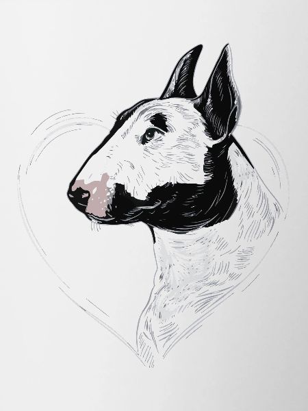 Bullterrier