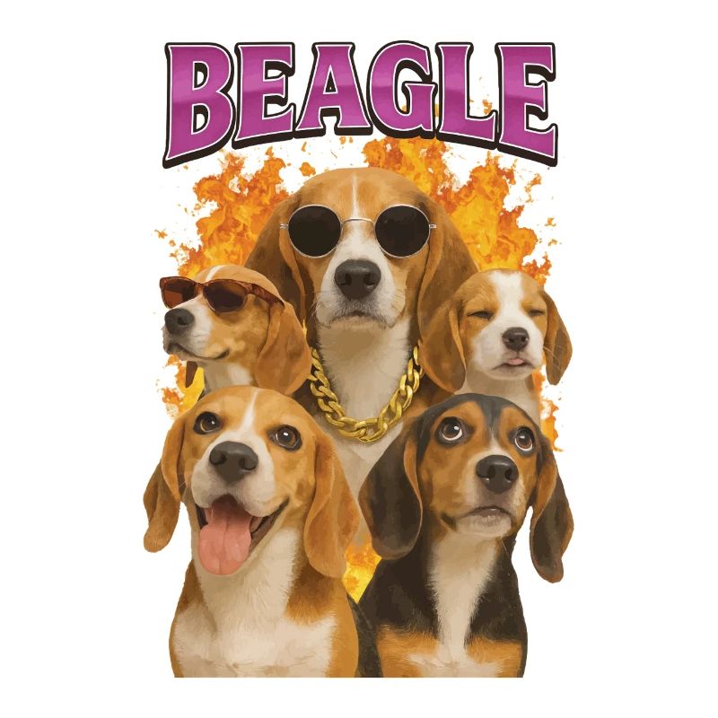 Beagle