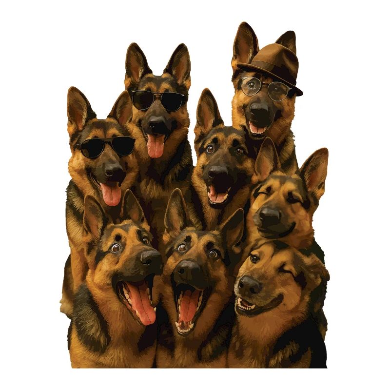 Deutscher Schäferhund