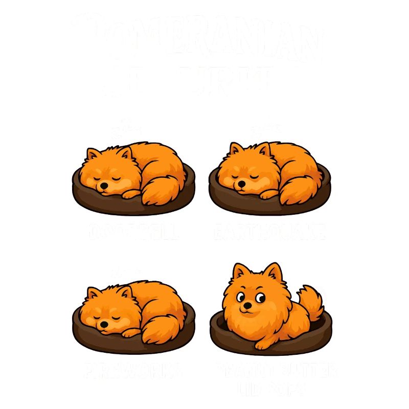 Dwarf spitz