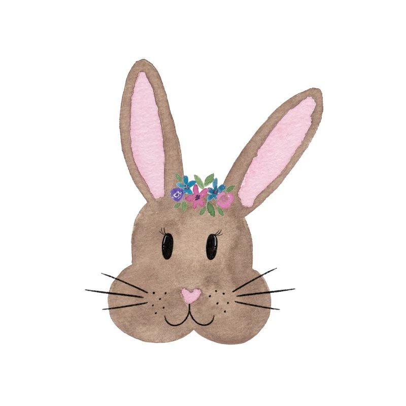 Hase