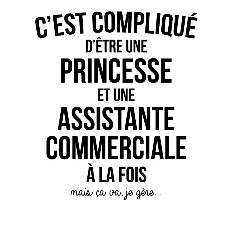 C'EST COMPLIQUE D'ETRE PRINCESSE ET ASSISTANTE COM