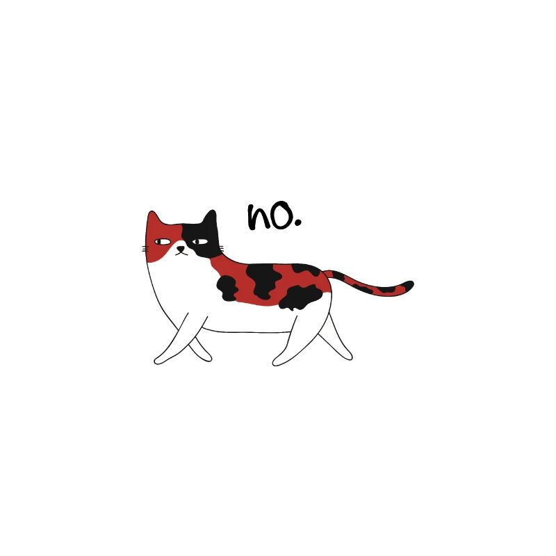 no cat