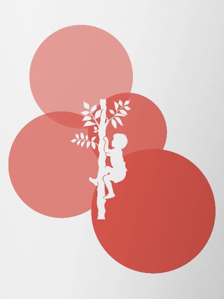 Equipment Tree Climbing