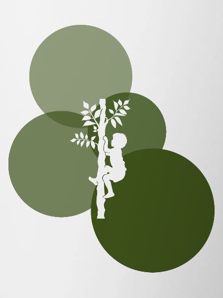Climbing Monkey Equipment