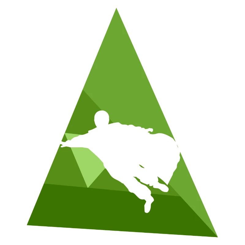 Wingsuit Flying Suit Glide