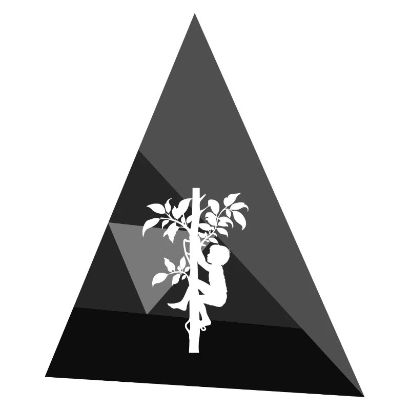 Equipment Tree Climbing