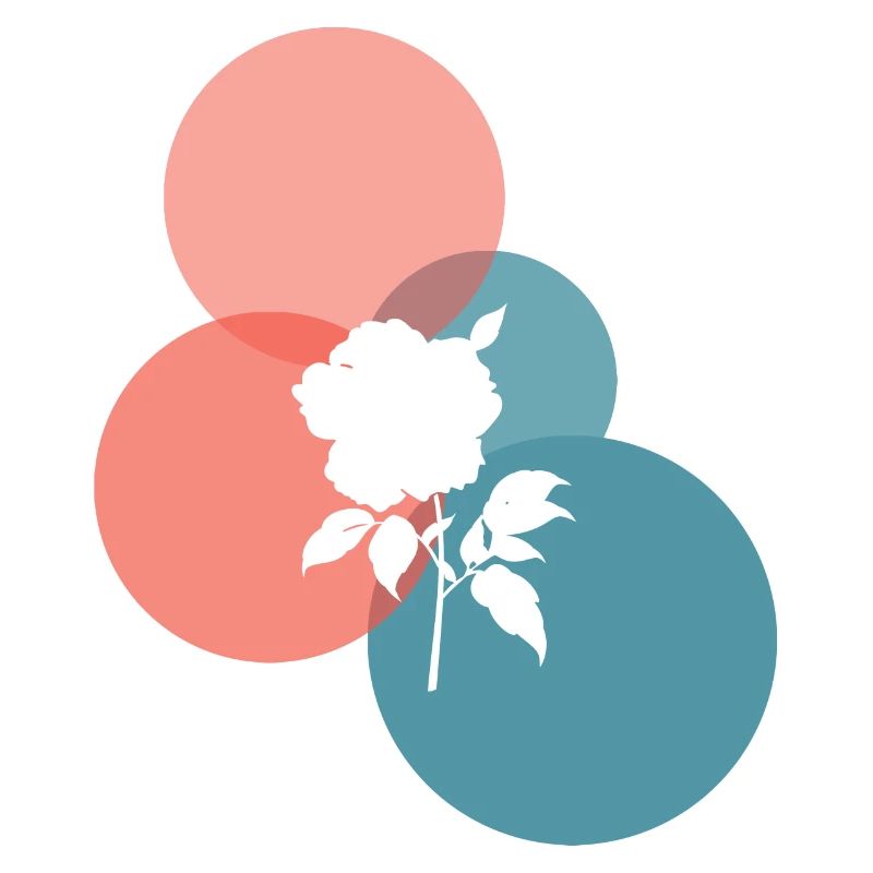 Fleuriste Blumenstrau Horticulture