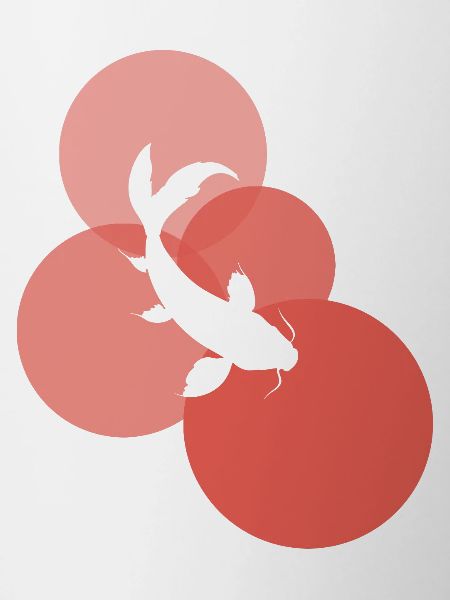 Koi Japan