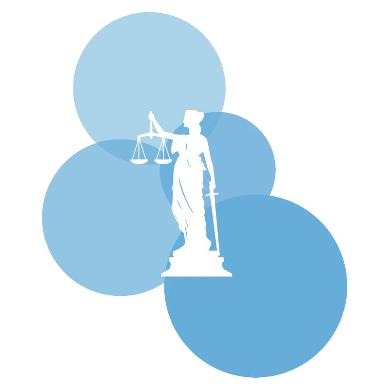 Paragraphe de loi Cour