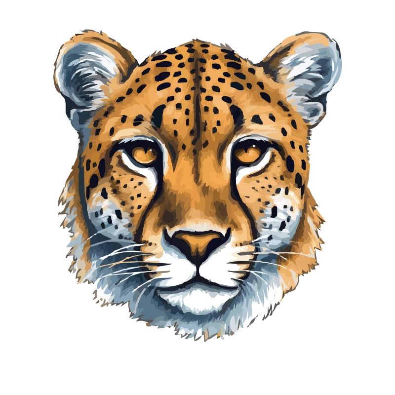 Cheetah Gepard