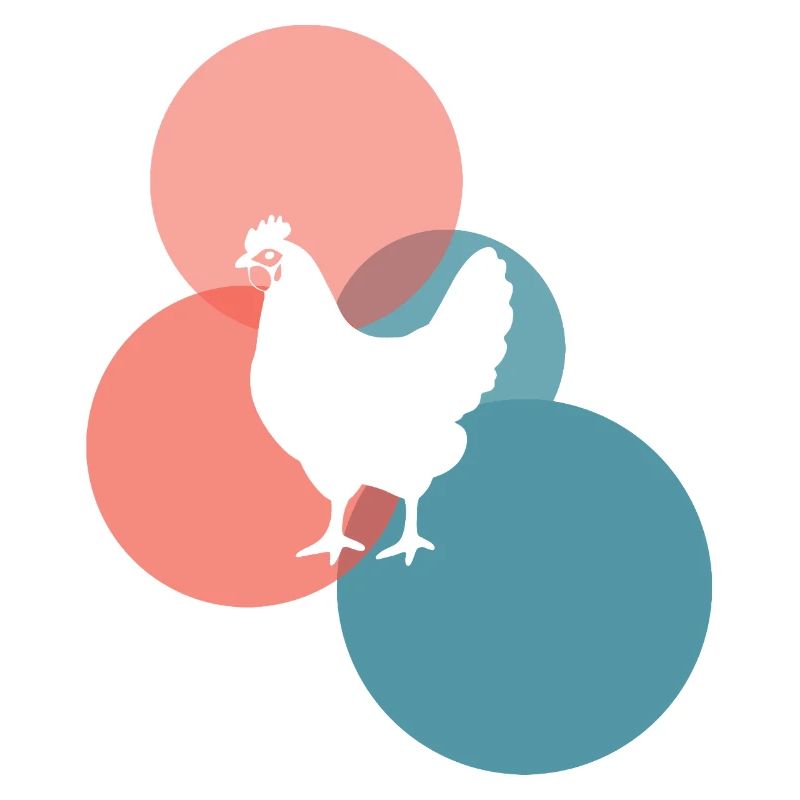 Chicken coop egg chicken