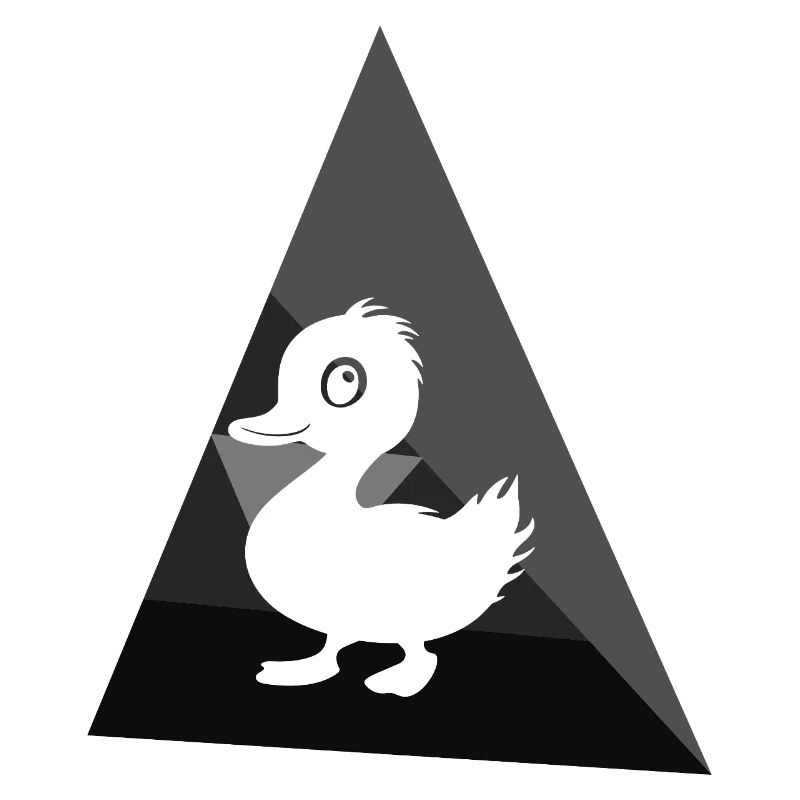 Canards Caneton Canard