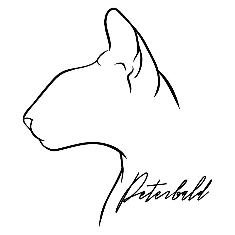 Peterbald Profil Chat Chat Wilsigns