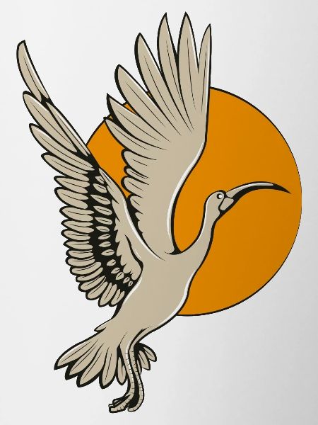 Ibis