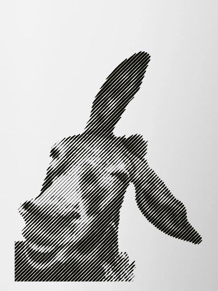 Boleo Amorgos donkey Donkey
