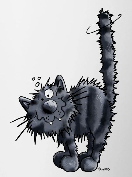 Sweet Cat