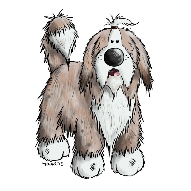 The Bearded Collie