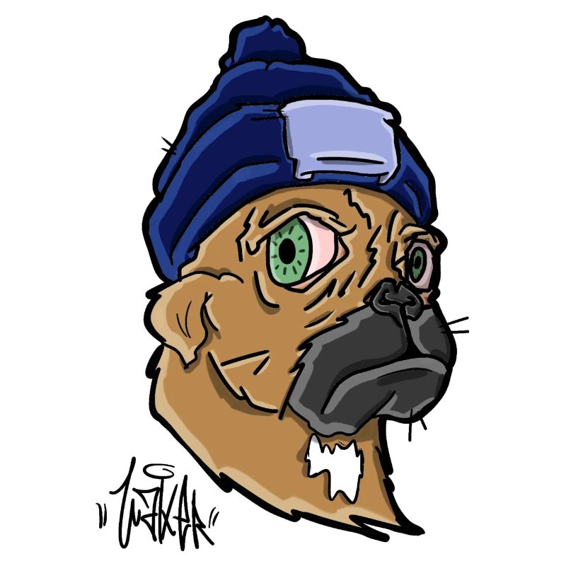 Chien avec un bonnet