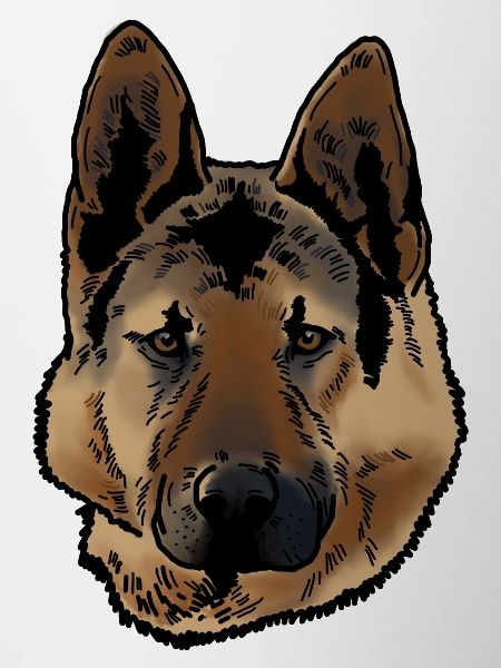German Shepherd