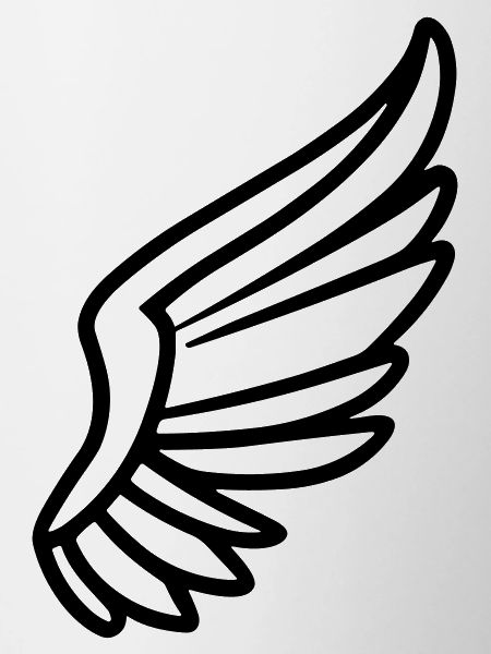 Ailes d'ange
