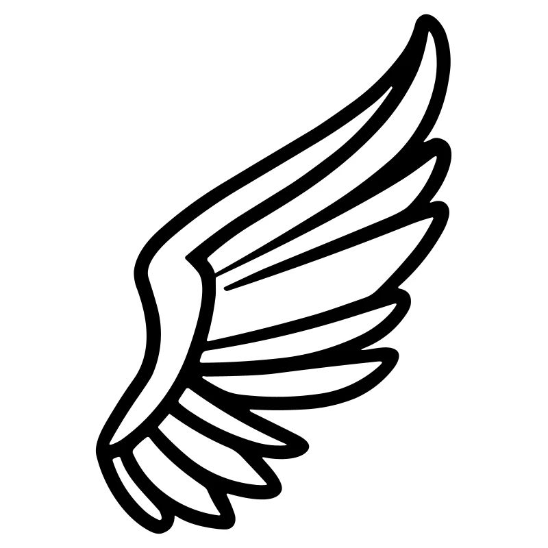 Ailes d'ange