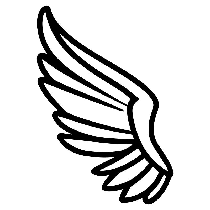 Ailes d'ange