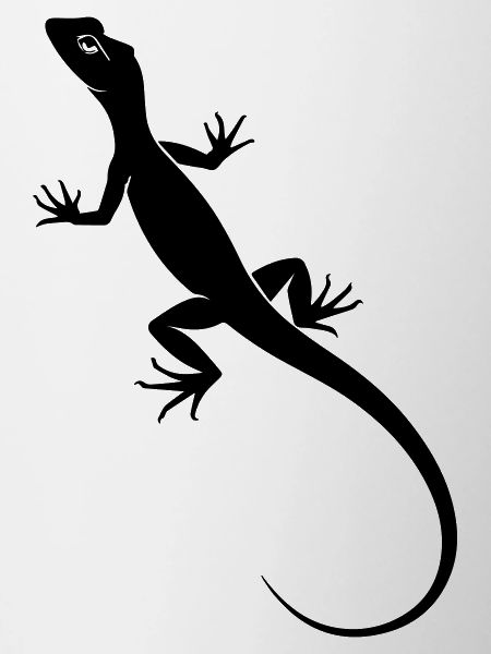 Lézard
