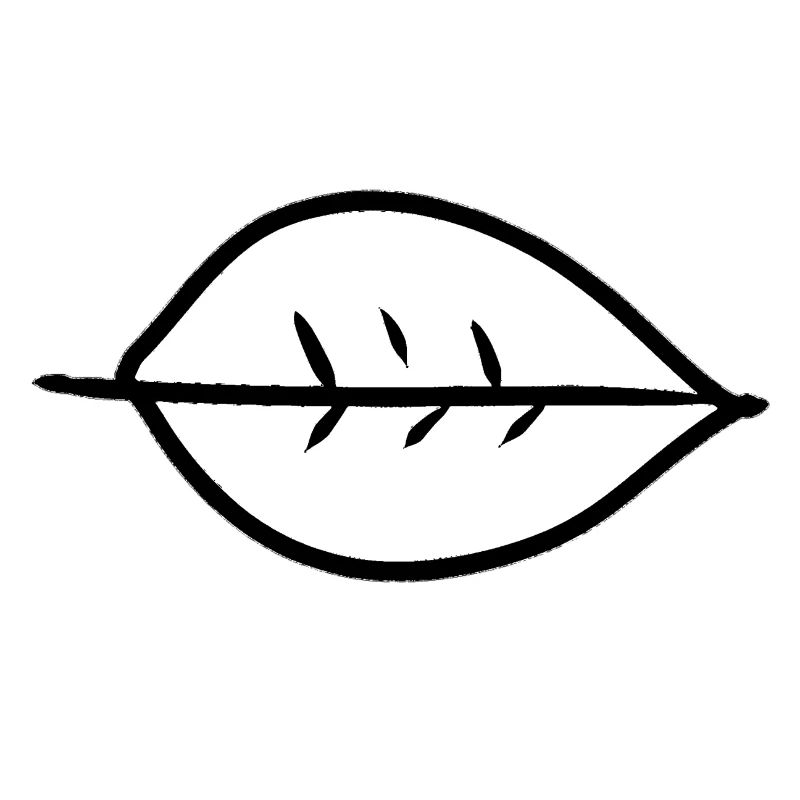 Leaf Symbol Shape Nature