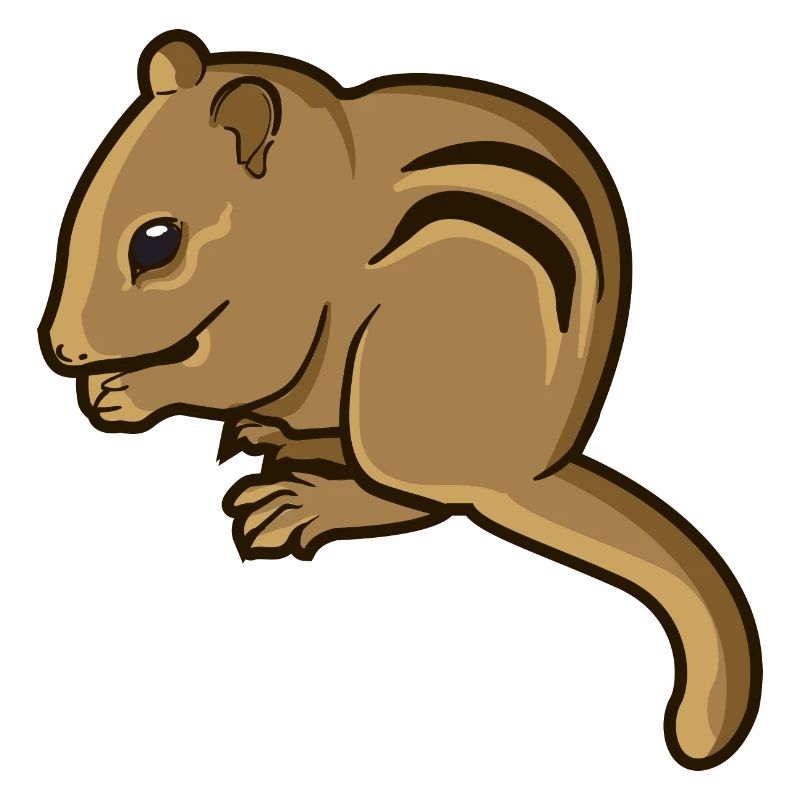 Chipmunk chipmunk rodent gift rodent