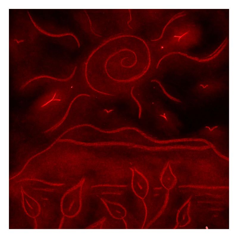 RED NIGHT LANDSCAPE