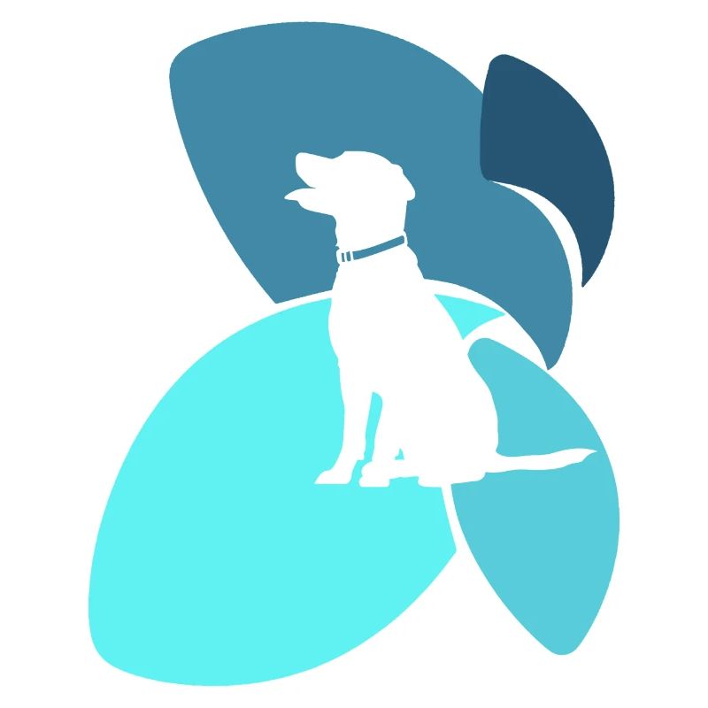 Dog trainer dog training