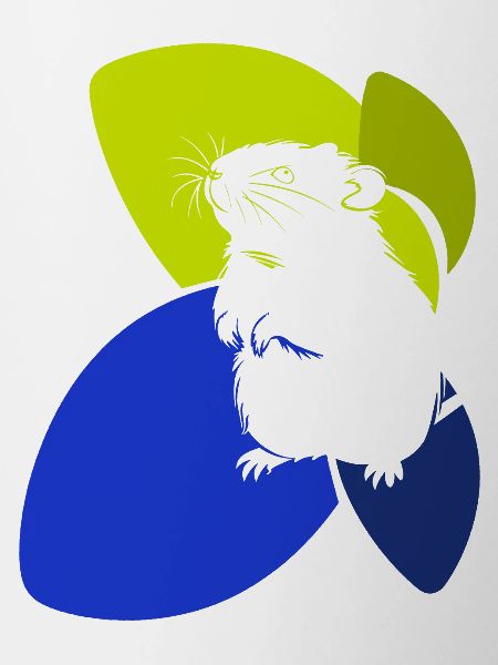 Hamster Mouse Critters