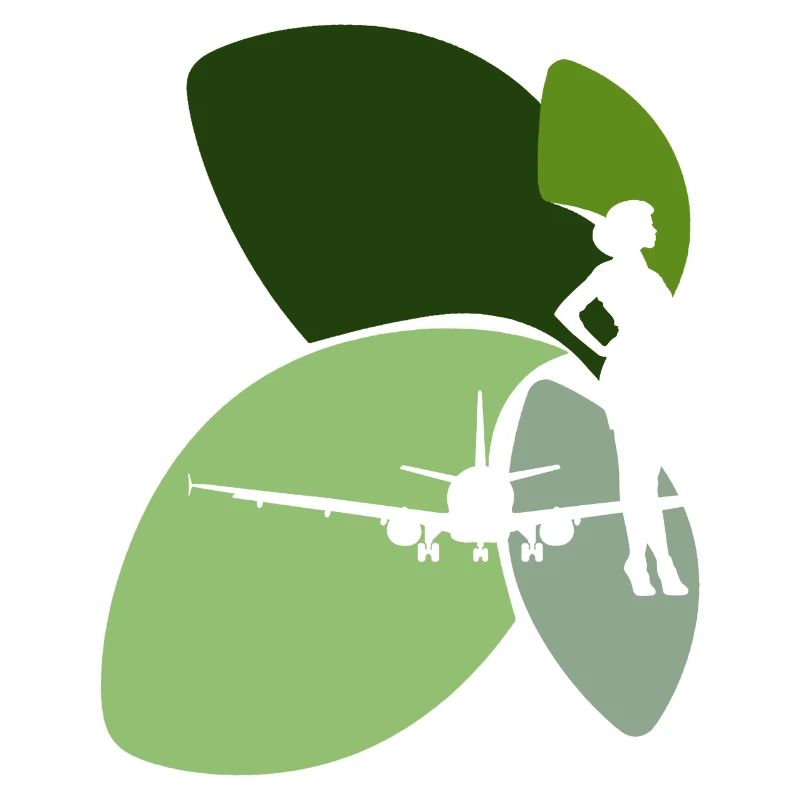 Compagnie aérienne, Avion, Vol