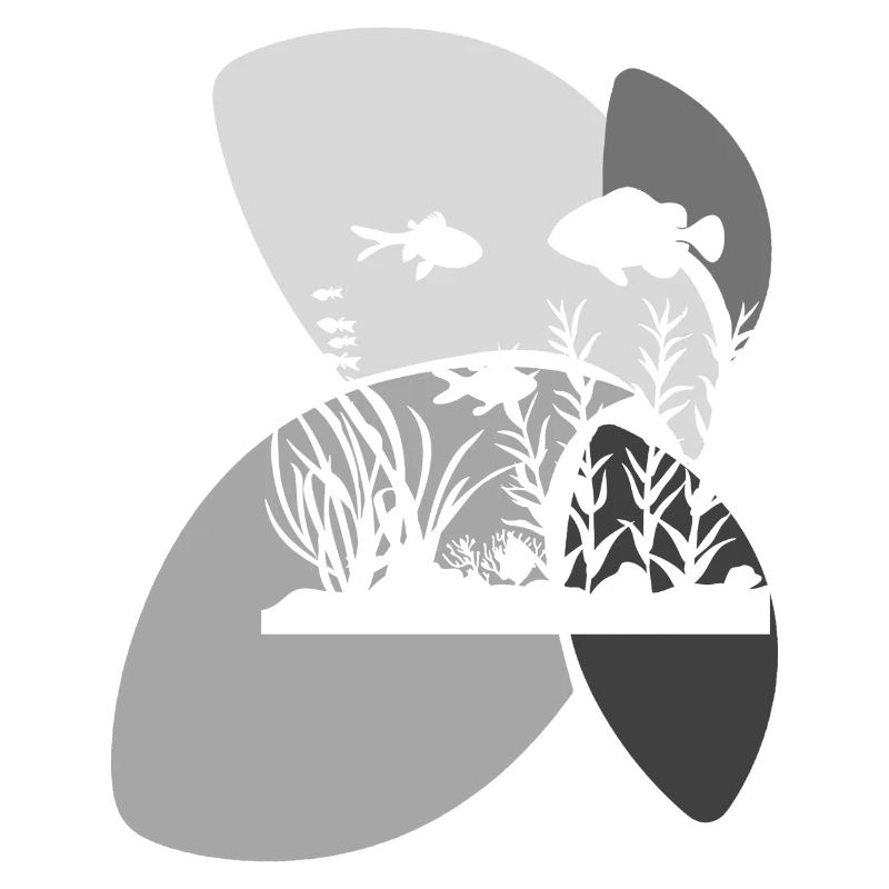 Aquarium Animaux Marins Eau