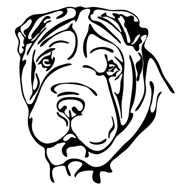 SHAR PEI dog Shar-Pei Wilsigns dog