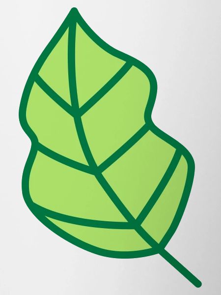 feuille