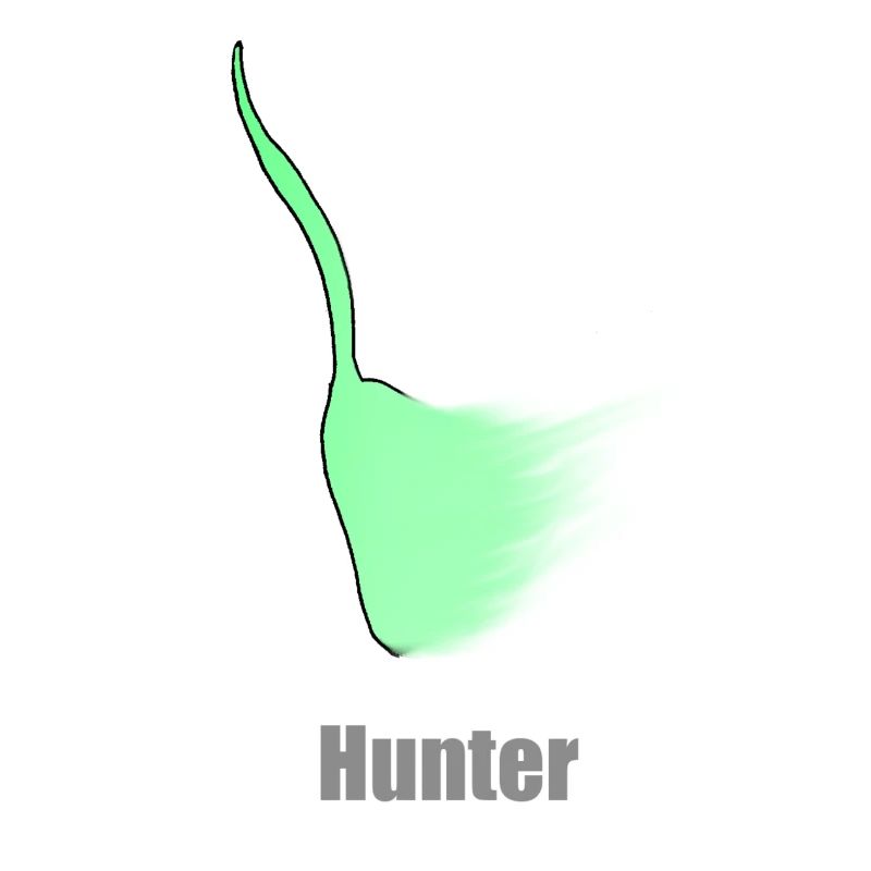chasseur