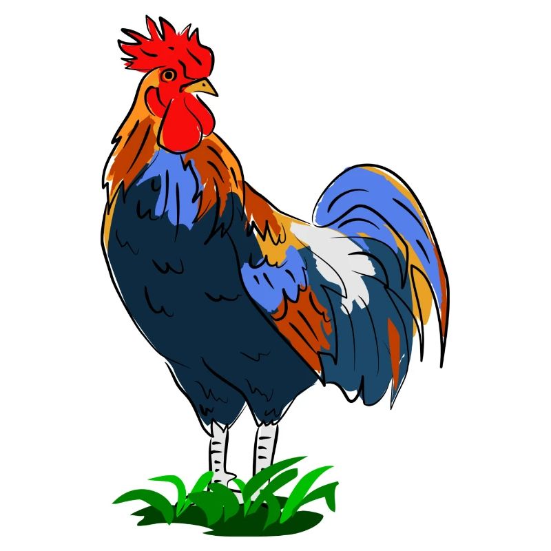 Coq coloré dans le style dessin animé