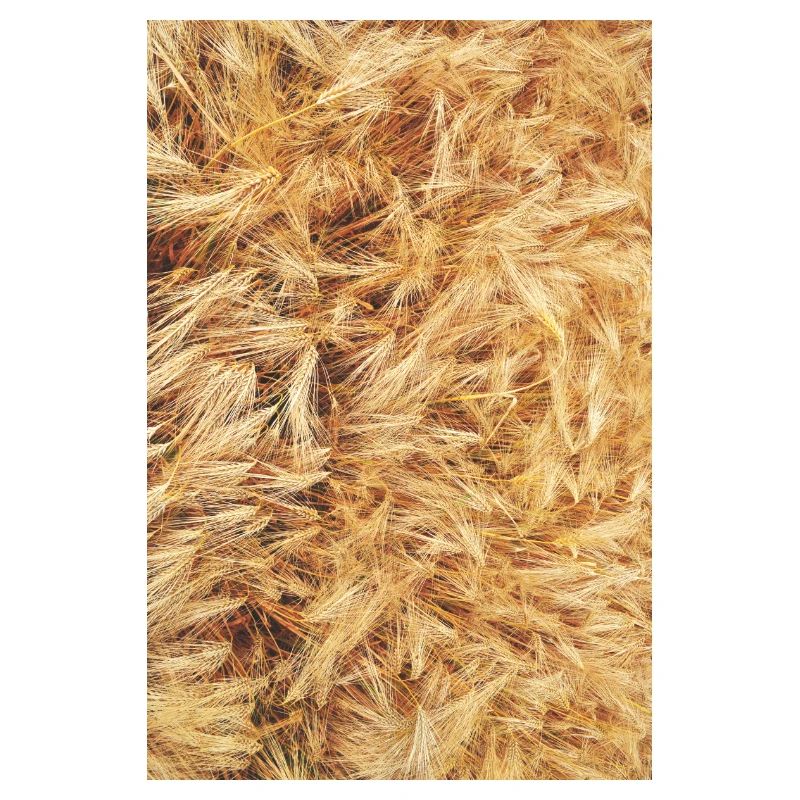 grain
