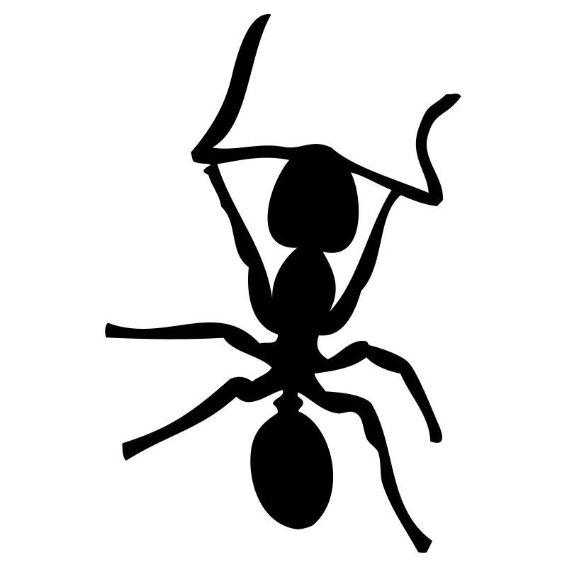 Ant - Insect - Ants