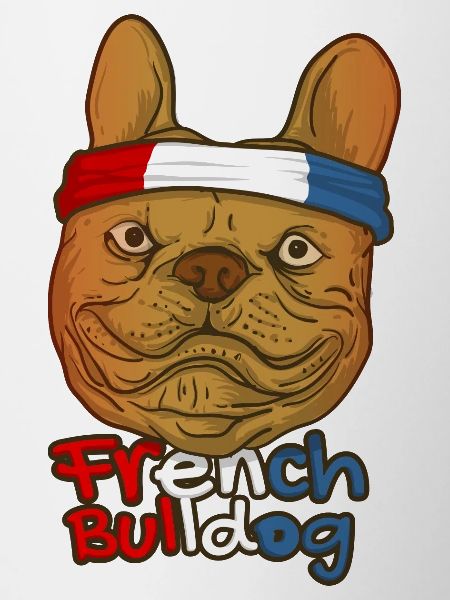 french bulldog