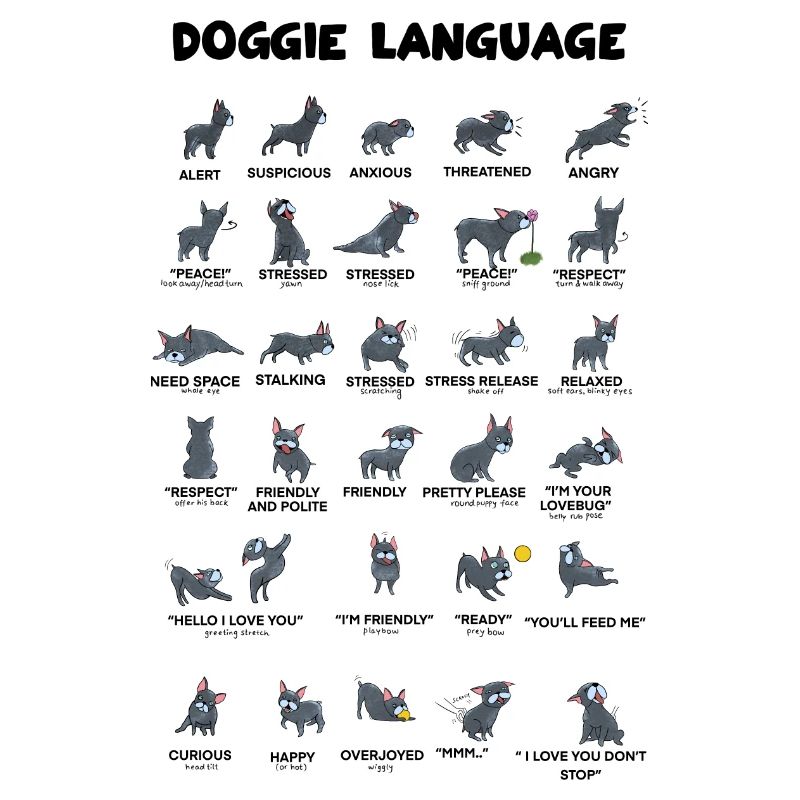 Doggie Language