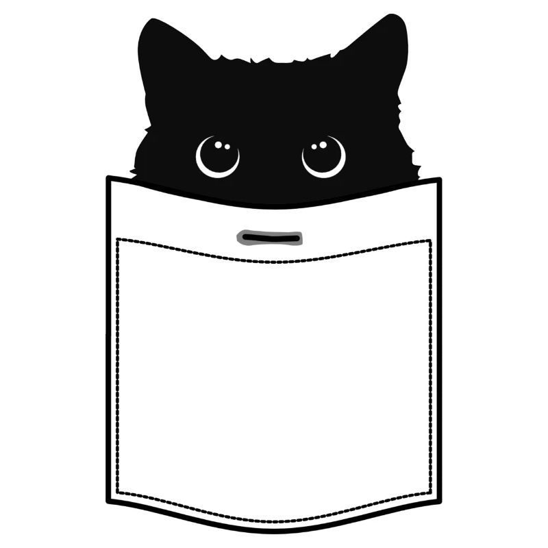 Chat en poche