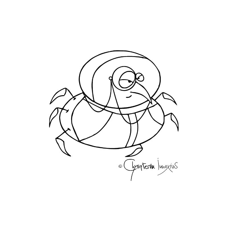 Monokelkäfer - Coleopter Monoculus