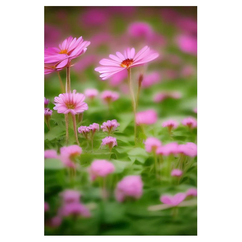 Art floral
